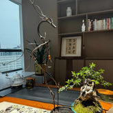 Luxcig Double Dragon Incense Stand – 65-75cm Handmade Carbonized Camphor Wood Base Yoga Gift for Mom & Girlfriend